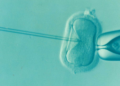 Fertility Research in Mexico Raises Ethical Concerns