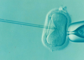 Fertility Research in Mexico Raises Ethical Concerns